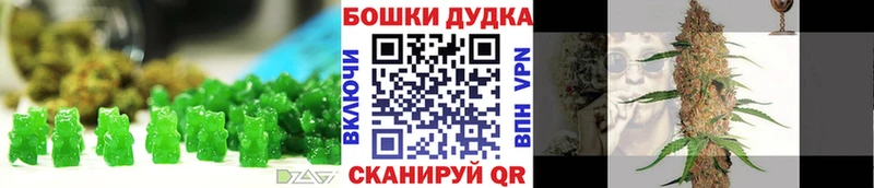 Купить закладки  Жиздра  Canna-Cookies конопля 