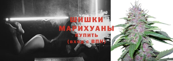 круглые Магас