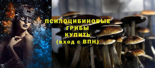 экстази Бердск